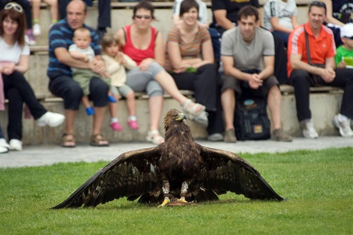 Sendaviva Celebra Este Fin De Semana El Día De Las Aves.