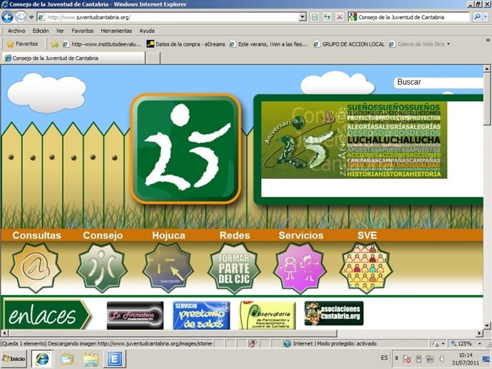 Web Consejo Juventud