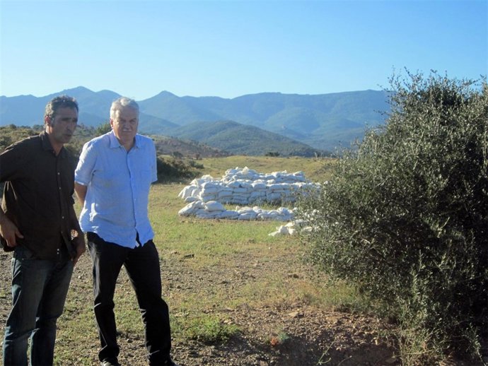 El Presidente De SI, Toni Strubell