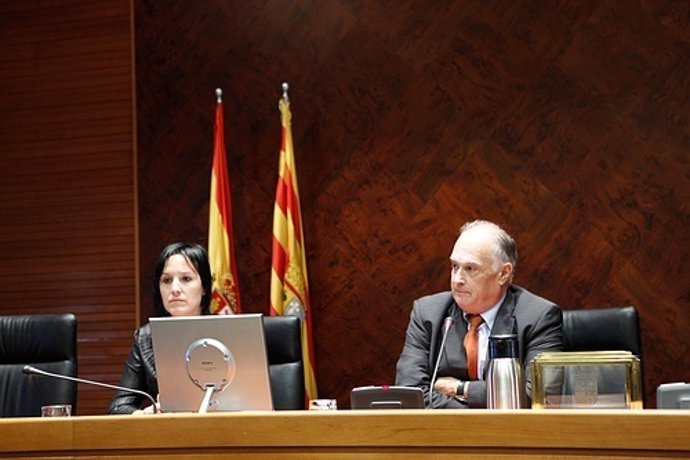 Diputado De Las Cortes De Aragón, Joaquín Salvo