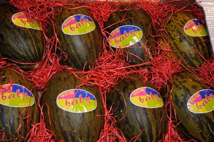 Melones de Procomel
