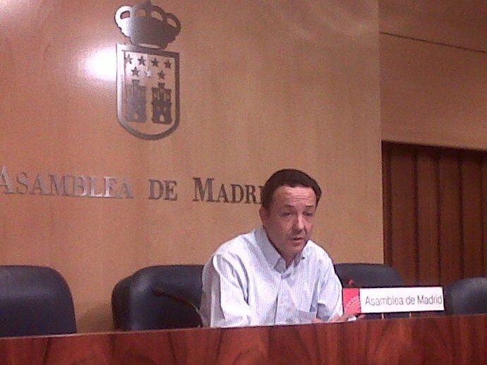 El Portavoz Del Grupo Parlamentario Popular En La Asamblea De Madrid
