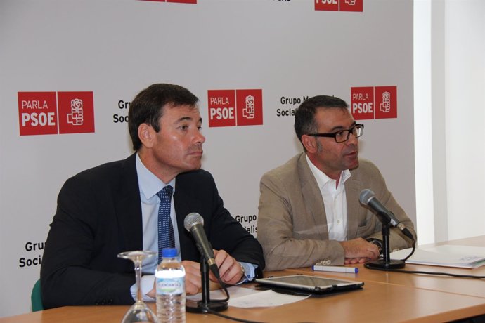El Portavoz Socialista En La Asamblea De Madrid, Tomás Gómez