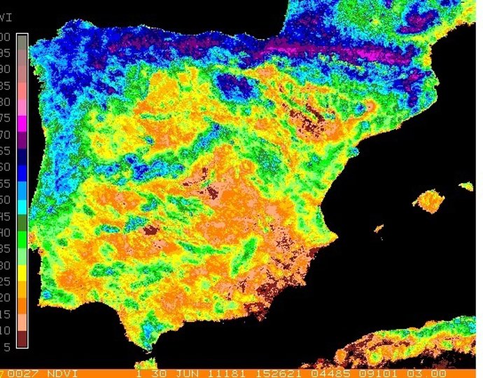 Mapa Índice Vegetación