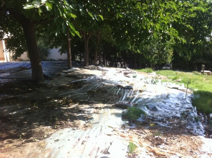 La Escuela Can Xarau De Cerdanyola Del Vallès, Con Restos De Amianto