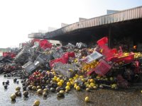 Detenido el presunto autor del incendio de la cooperativa de Ribarroja