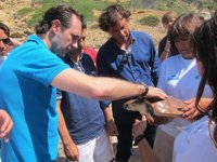 Bauzá afirma que si no se hubiera aprobado el Plan de Saneamiento antes del 20-N, habría que haber esperado a 2012