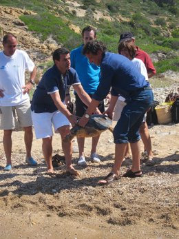 Gabriel Company I Mateu Isern En Cabrera