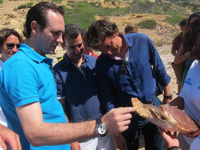 Bauzá Suelta Una Tortuga En Cabrera