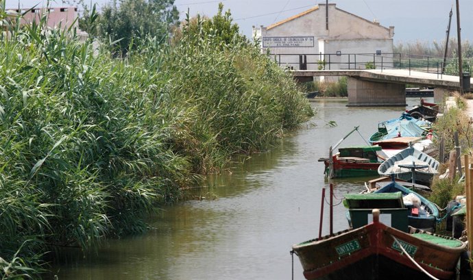 Parque Natural De La Albufera De Valencia