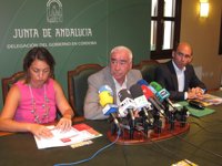 Alonso lamenta que Nieto presentara la solicitud para semifinales de Copa Davis "sin hablar" con él