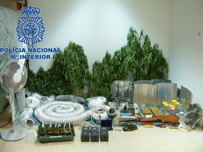 Objetos Intervenidos