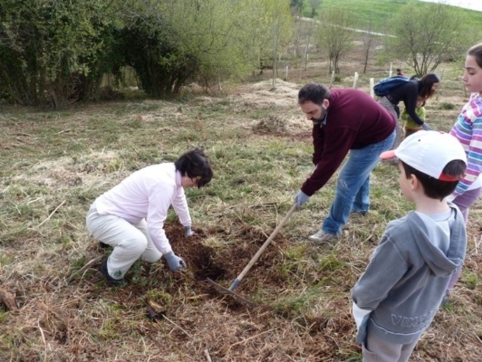 Actividad De Reforestación En Un Bosque Como Parte Del Proyecto 'Iberclima'