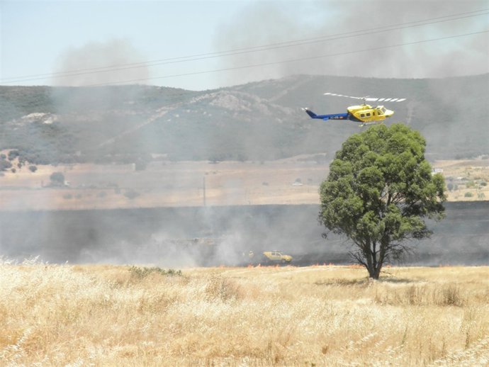 Incendio En Brazatortas  