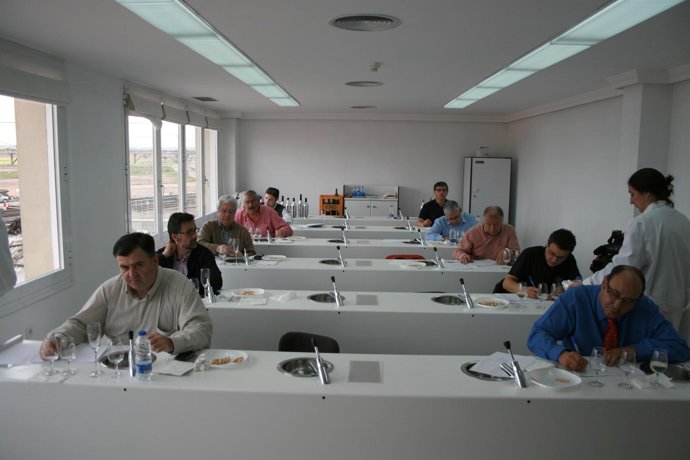 Cata De Vino De La DO La Mancha