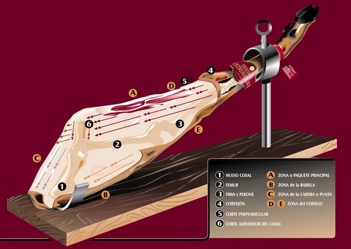Decálogo Orte Del Jamón Por DOP Dehesa De Extremadura