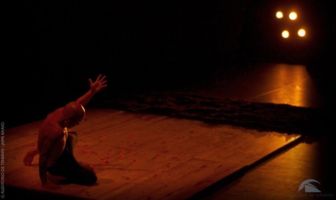 'Los Zuecos Van Hacia Sus Buenos Hábitos'