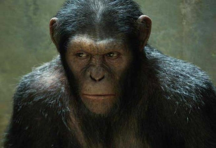 El Origen Del Planeta De Los Simios