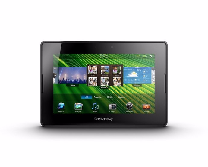 Blackberry Playbook