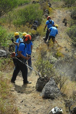 Limpieza De Senderos
