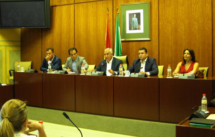 Javier Arenas, Hoy En Una Reunión Con El Grupo Parlamentario