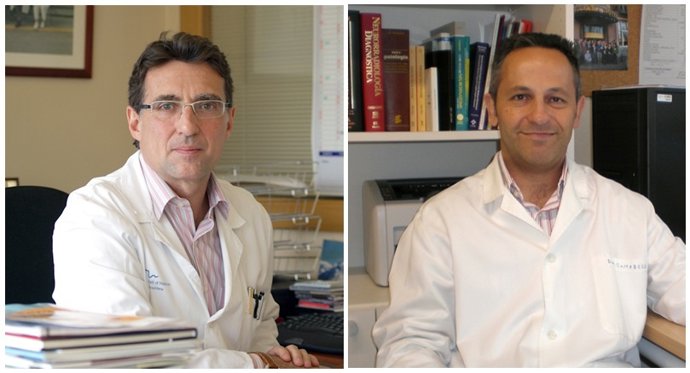 Investigadores Xavier Montalban Y Manel Comabella, Del VHIR