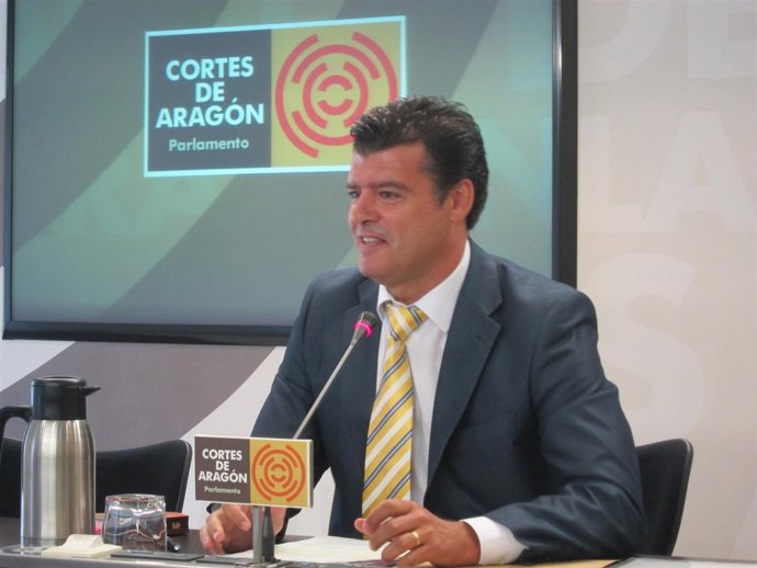 Director General De Relaciones Institucionales Y Con Las Cortes, Javier Allué