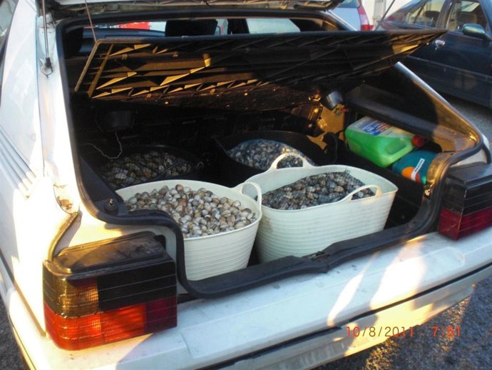 Incautación De Gardacostas En O Burgo