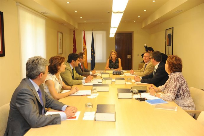 Consejo De Gobierno De Castilla-La Mancha (2011)