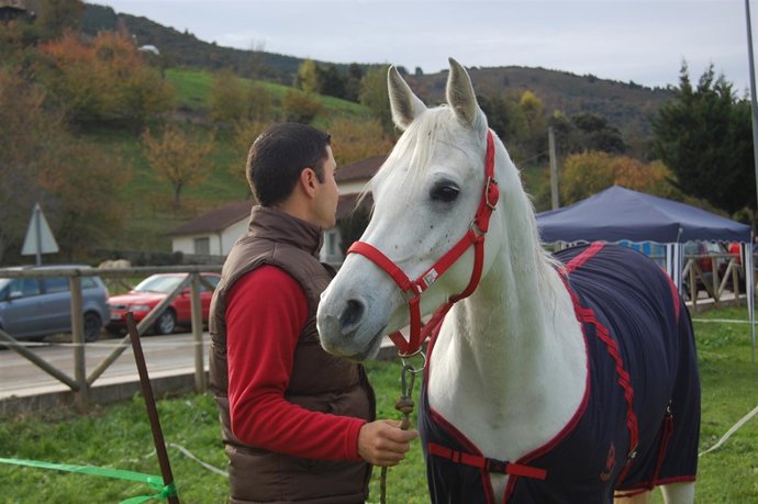 Caballo Y Jinete Del Raid