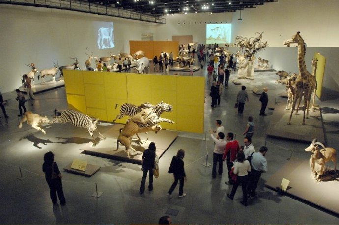 Expo Animales En El Parque De Las Ciencias