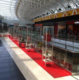 Exposición De Pongos