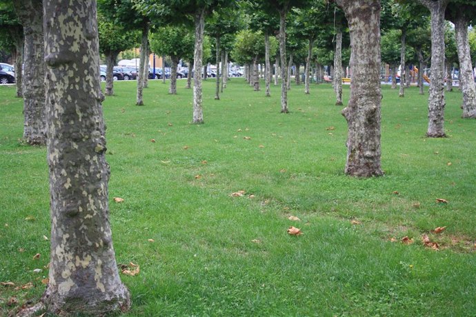 Laredo, Alameda Avenida De España