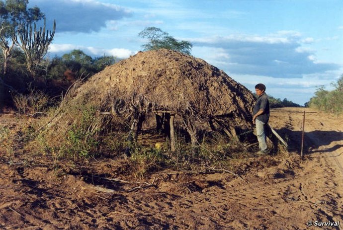 Casa De Indígenas En Medio De Una Nueva Carretera