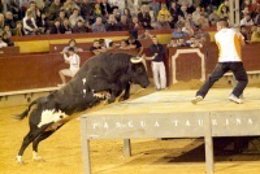 Imagen Que Acompaña A La Información De La Fira De Setembre De Canals