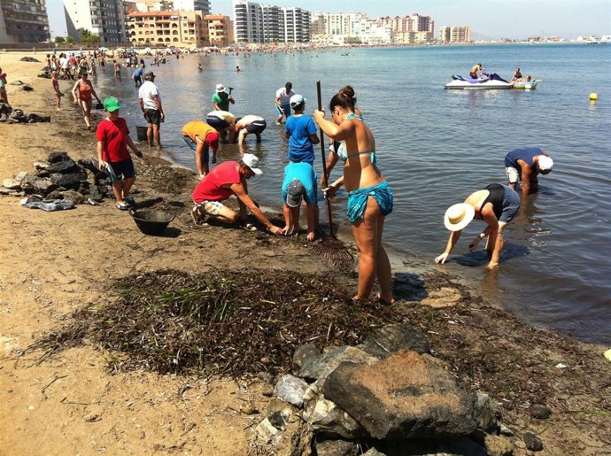 Voluntarios Extraen Residuos En Playas De La Manga