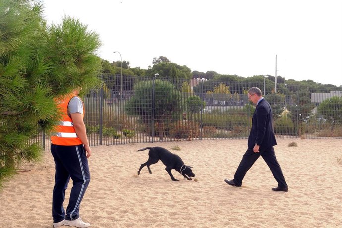 Gallardón Visita El Centro De Protección Animal De Madrid