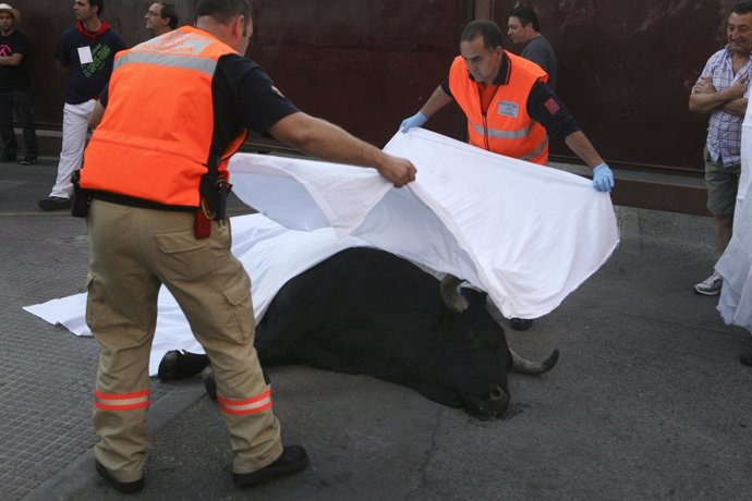 Un Toro Muere En Los Encierros De Leganés