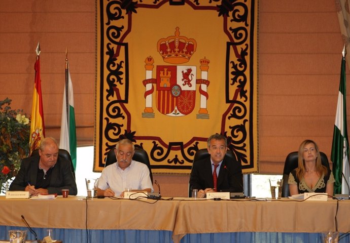 Pleno Del Ayuntamiento De Estepona