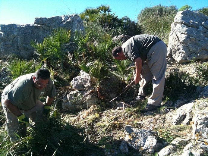 Trabajadores En Iniciativa De La Obra Social La Caixa
