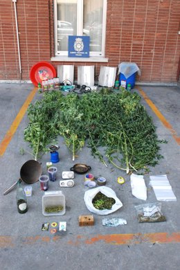 Marihuana Decomisada