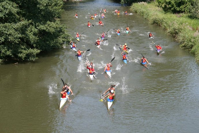 Participantes De La Edición Anterior