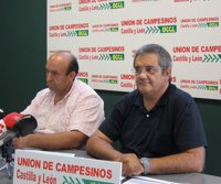 UCCL acusa a la Junta de poner parches a la plaga de conejos y lamenta que no busque soluciones concretas y eficaces