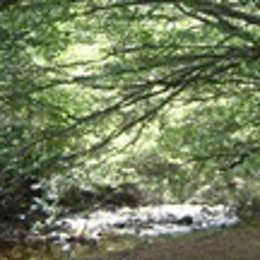 Paisaje Natural Madrileño