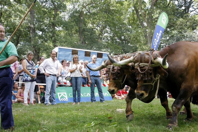 Diego En El Día De Soba