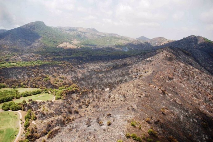 Zona Afectada Por El Fuego En Cartagena