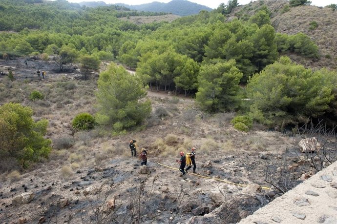 Incendio Sierra De Atamaría