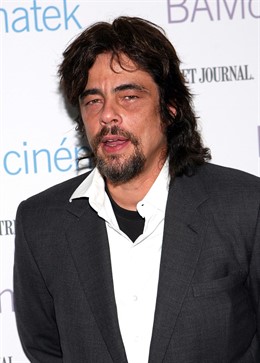 Posado De Benicio Del Toro 