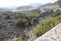 Una veintena de efectivos ha pasado la noche resfrescando y vigilando el incendio de la sierra de Atamaría