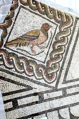 Detalle Del Mosaico Romano 'Nacimiento De Venus' Del Museo De Málaga